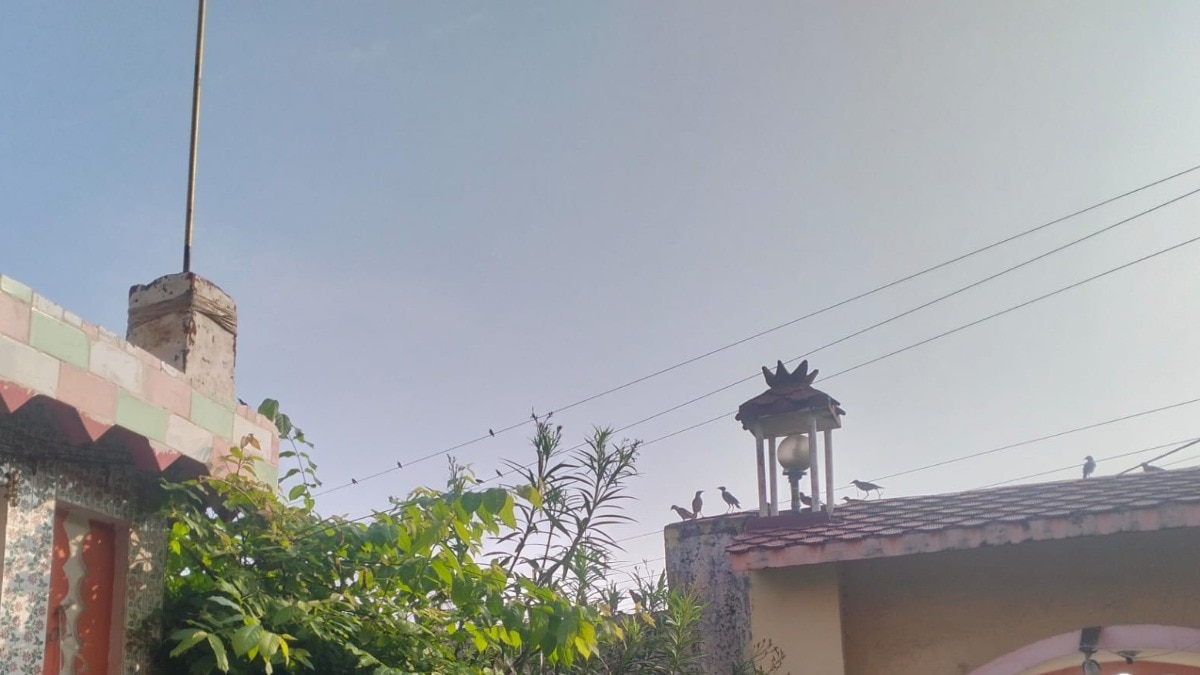 Raebareli Weather Alert: रायबरेली में मौसम के तेवर, बीती रात फुहारें, सुबह खिली कड़क धूप, उमस ने छुड़ाए पसीने