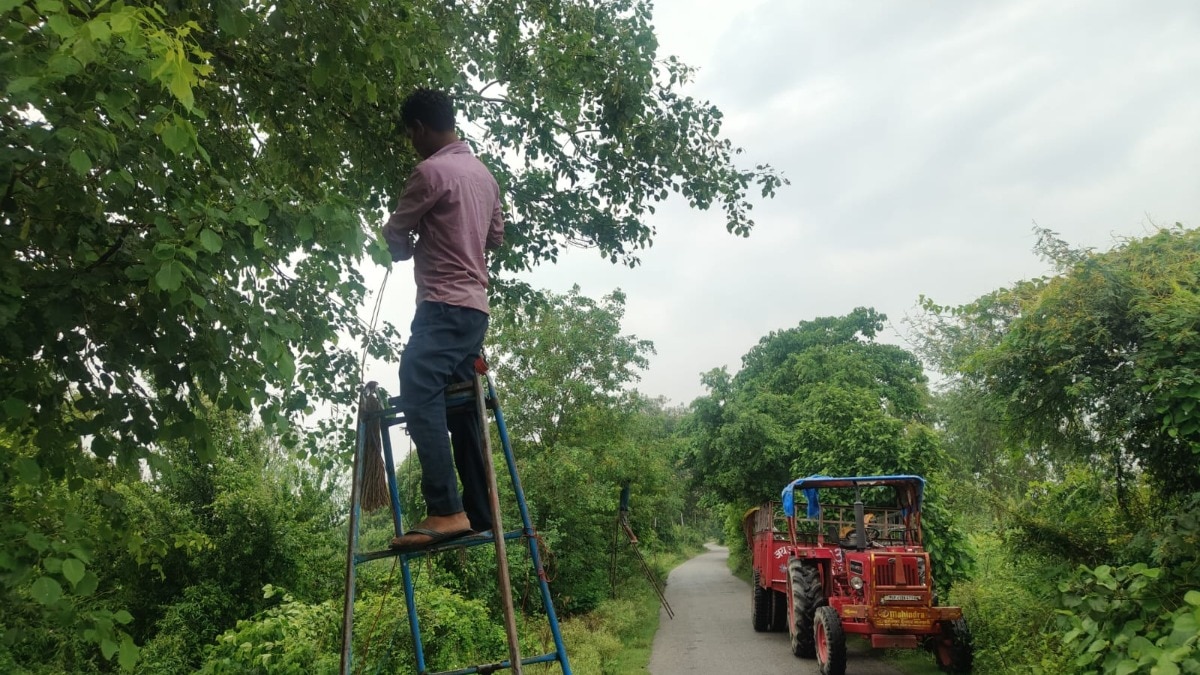 30 जुलाई से आस्था का महासंगम, लोधेश्वर धाम की राहें जगमगाईं, सावन मेले को लेकर प्रशासन अलर्ट