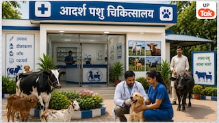 यूपी के हर विधानसभा क्षेत्र में खुलेंगे 'आदर्श पशु चिकित्सालय', डिजिटल एक्स-रे से लेकर डायलिसिस जैसी मिलेंगी सारी सुविधाएं UP Tak