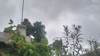 Raebareli Weather Update: गर्मी-उमस से बेहाल, रायबरेली में 'इंद्रदेव' मेहरबान, कल रात झमाझम बारिश से बदला मौसम गर्मी-उमस से बेहाल, रायबरेली में 'इंद्रदेव' मेहरबान: कल रात झमाझम बारिश से बदला मौसम
