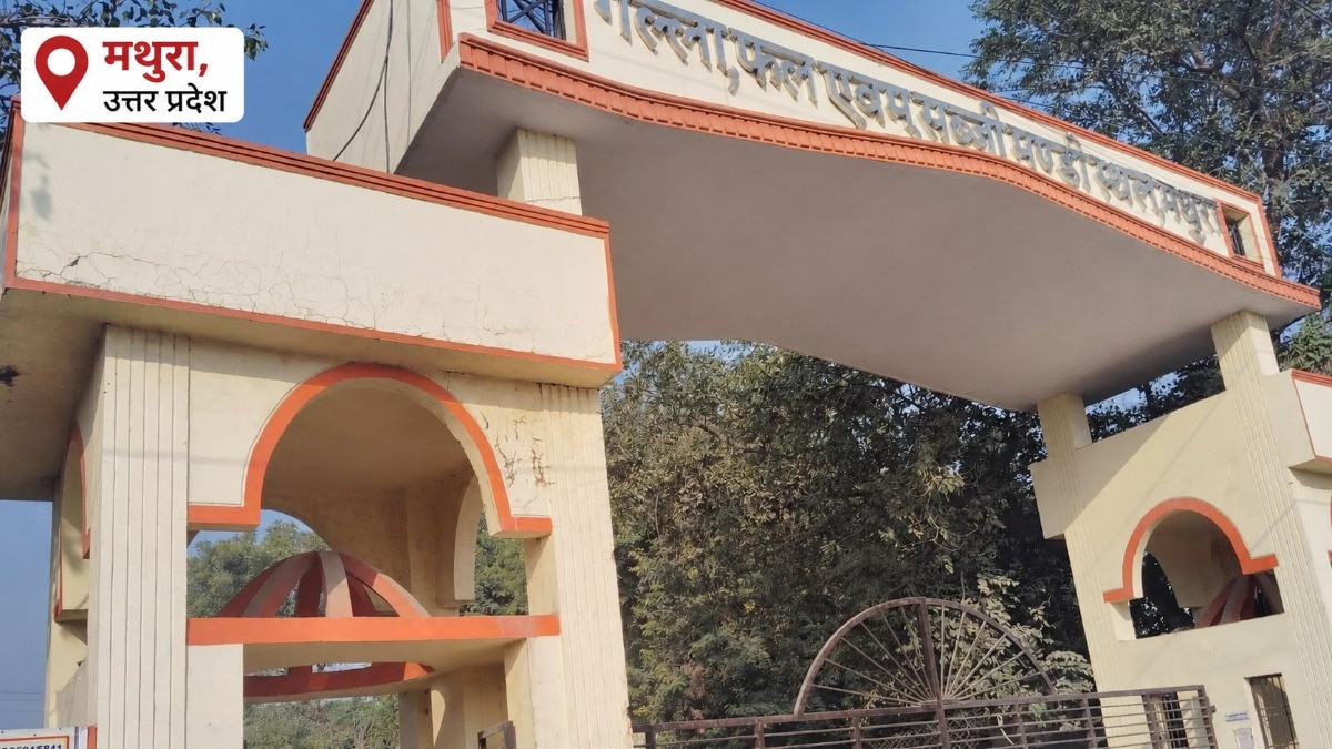 Mathura Mandi Bhav: मथुरा थोक मंडी, हरी सब्जियों में सीमित तेजी, खड़े मसालों के भाव स्थिर; मौसम का असर व्यापार पर