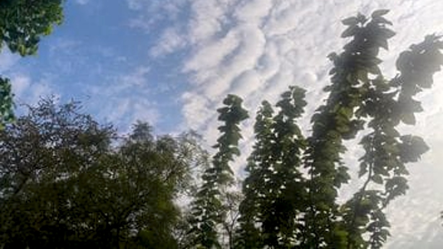 Mathura Weather Update: मथुरा में मानसून रहेगा सक्रिय, आज हल्की से मध्यम बारिश के आसार