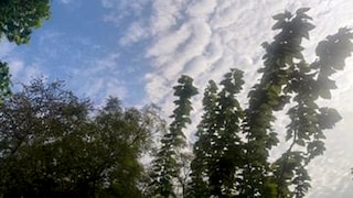 Mathura Weather Update: मथुरा में मानसून रहेगा सक्रिय, आज हल्की से मध्यम बारिश के आसार मथुरा में मानसून रहेगा सक्रिय, आज हल्की से मध्यम बारिश के आसार
