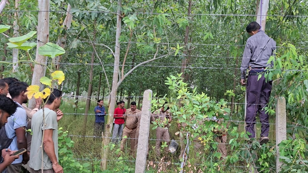 सहारनपुर में घर से लापता 50 वर्षीय व्यक्ति का जंगल में पेड़ से लटका मिला शव, मचा हड़कंप