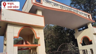 Mathura Mandi Bhav Today: मथुरा थोक मंडी में सब्जियों के दाम चढ़े, बारिश से आपूर्ति प्रभावित, हरी सब्जियों में तेजी मथुरा थोक मंडी में सब्जियों के दाम चढ़े, बारिश से आपूर्ति प्रभावित, हरी सब्जियों में तेजी