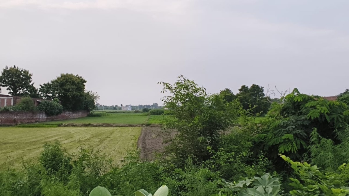 रिमझिम बारिश बनी राहत की फुहार, किसानों के चेहरे खिले, डेंगू-मलेरिया से बचाव की सलाह