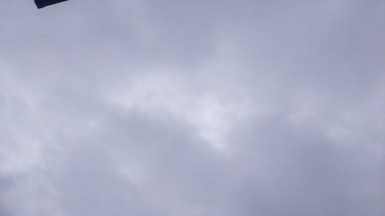 Mathura Weather Update: बारिश से तरबतर मथुरा, पूरे दिन बरसेंगे बादल, मौसम विभाग ने दी सतर्क रहने की सलाह बारिश से तरबतर मथुरा, पूरे दिन बरसेंगे बादल; मौसम विभाग ने दी सतर्क रहने की सलाह