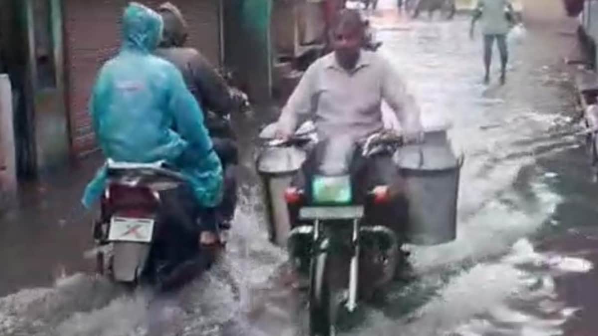 Moradabad News: चंद घंटों की बारिश में डूबी गलियां, जाहिद नगर में जलभराव से लोगों का जीना हुआ मुश्किल चंद घंटों की बारिश में डूबी गलियां, जाहिद नगर में जलभराव से लोगों का जीना हुआ मुश्किल