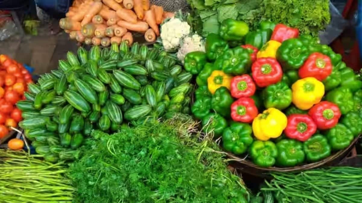 Raebareli Mandi Bhav: सब्जियों के दाम स्थिर, फिर भी राहत नहीं,अदरक ₹200 और हरी मिर्च ₹100 किलो सब्जियों के दाम स्थिर, फिर भी राहत नहीं,अदरक ₹200 और हरी मिर्च ₹100 किलो