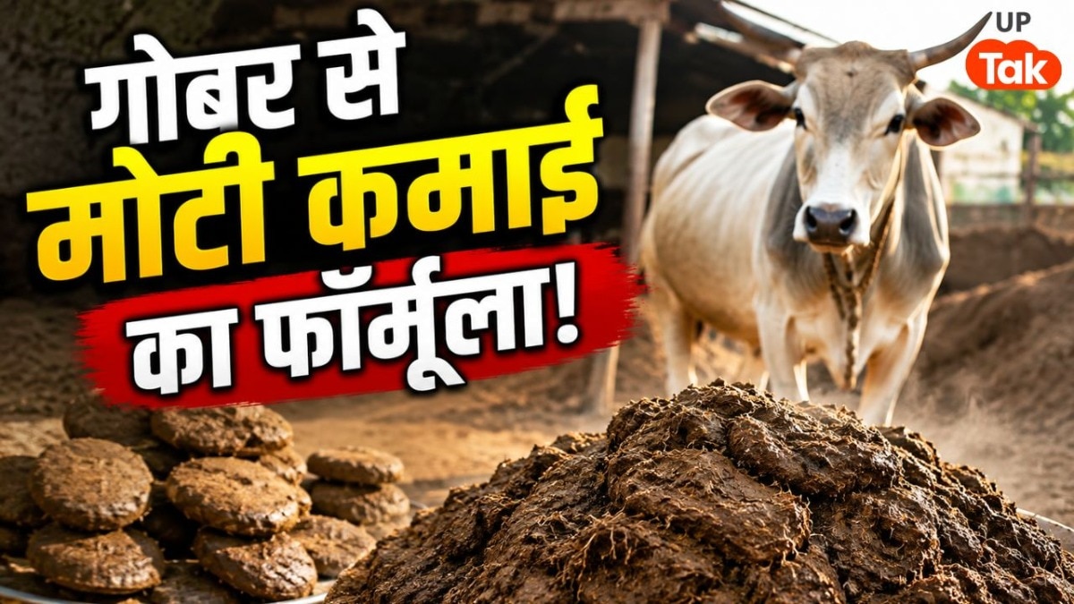 ₹400 किलो बिका गाय का गोबर! सहारनपुर के आदित्य त्यागी ने खोज निकाला ऐसा फॉर्मूला, हर महीने हो रही लाखों की कमाई