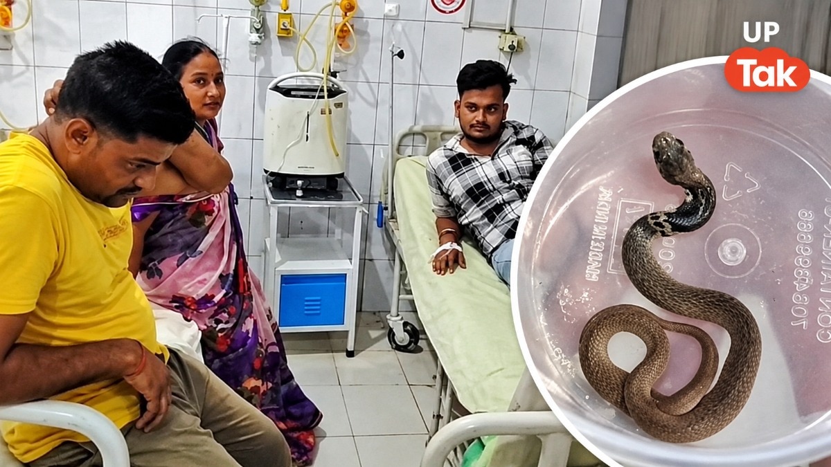 जूते के अंदर छिपा था 'खतरा', पैर डालते ही हमीरपुर के सागर को डंस लिया कोबरा!