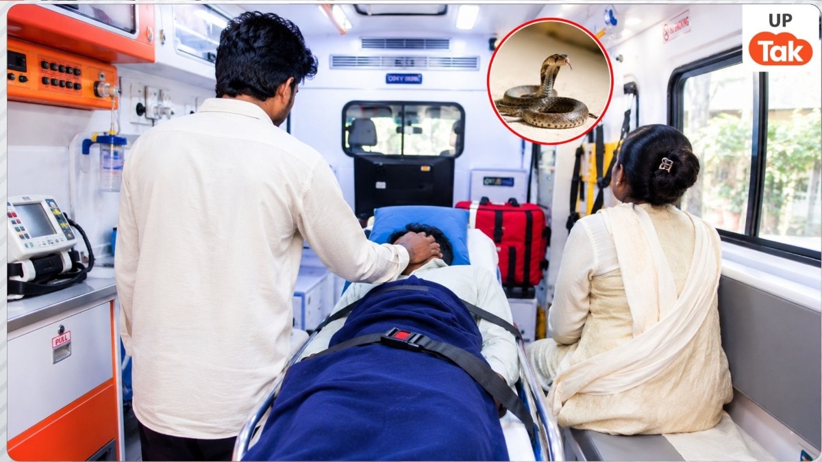 हरदोई में 21 साल के अरुण को जहरीले सांप ने काट लिया, युवक की जान बचाने के लिए बड़े भाई ने उसे मारे 150 थप्पड़!