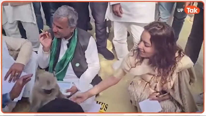 बागपत डीएम अस्मिता लाल और मटरू लंगूर का ये क्यूट वीडियो हो गया वायरल