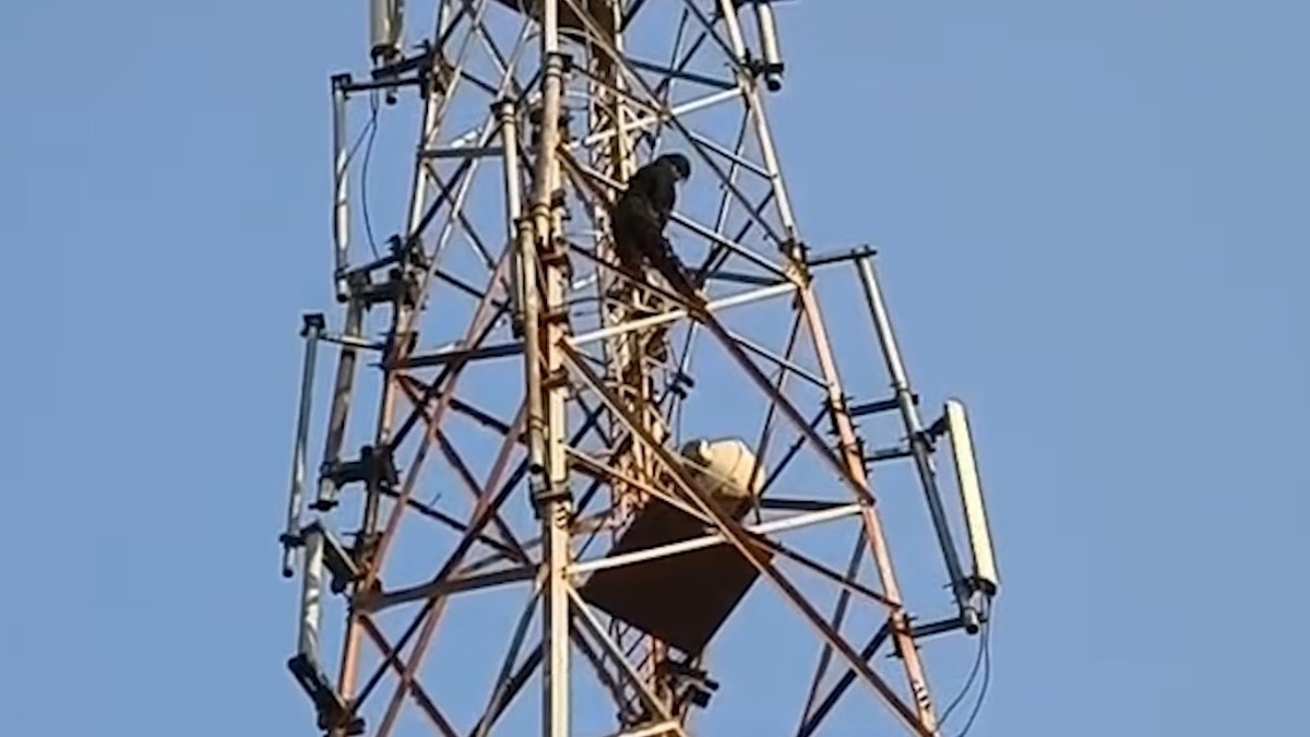 बलिया में प्रेमी ने शादी से किया इनकार तो मोबाइल टावर पर चढ़ी प्रेमिका, खूब मचा बवाल देखें वायरल वीडियो