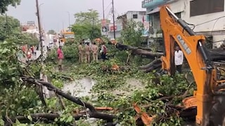 अचानक आंधी-तूफान से यूपी मच गया हाहाकार, 89 लोगों समेत कई जानवरों की भी हुई मौत! UP Weather