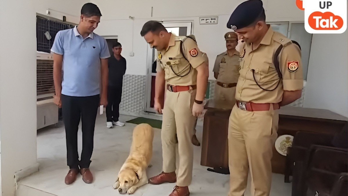 संभल में फीमेल डॉग मैरी ने किया ऐसा काम कि जानी-मानी पुलिस भी पीछे छूट गई...जानकर चौंक जाएंगे आप 