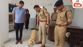 संभल में फीमेल डॉग मैरी ने किया ऐसा काम कि जानी-मानी पुलिस भी पीछे छूट गई...जानकर चौंक जाएंगे आप UP Tak