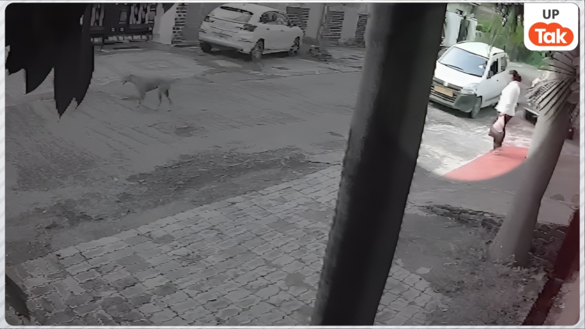 पत्रकार प्रज्ञा मिश्रा की बहन दिव्या मिश्रा की हत्या का CCTV वीडियो आया सामने, घटना से पहले दोनों के बीच ये क्या हुआ?