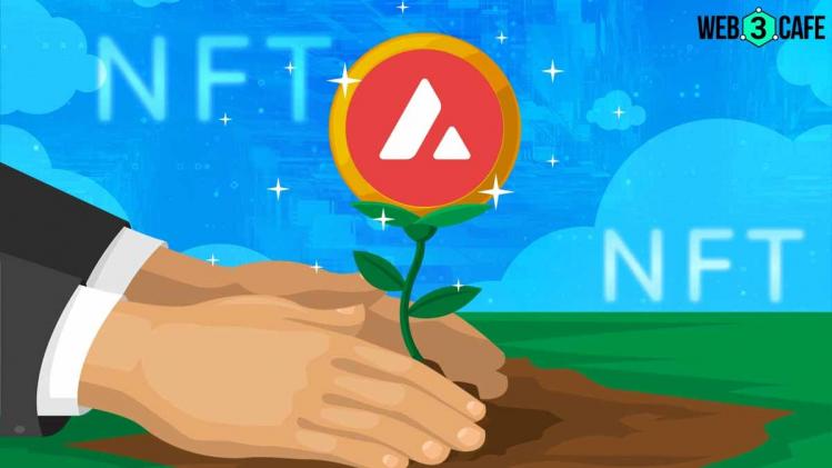 Avalanche Foundation launches new initiative