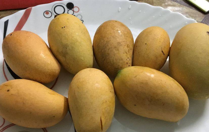 mango-4_060719111349.jpg