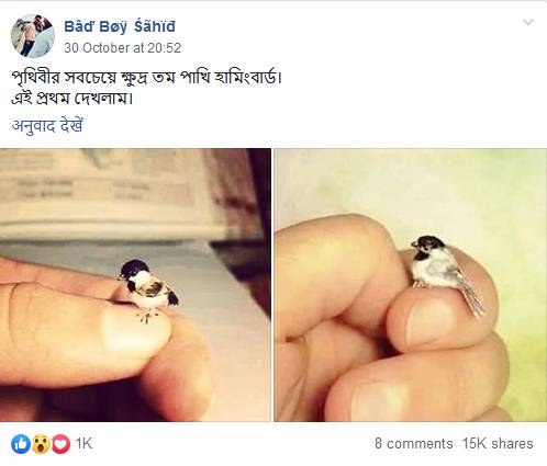 0_111319091640.jpg 0_111319091640.jpg