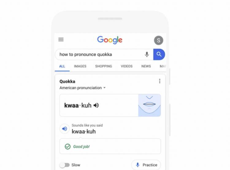 google-pro_111519075025.jpg google-pro_111519075025.jpg