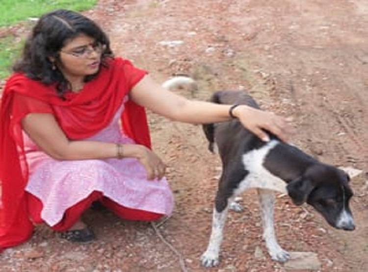 whatsapp-image-2019-12-07-at-1_120719032112.jpeg whatsapp-image-2019-12-07-at-1_120719032112.jpeg