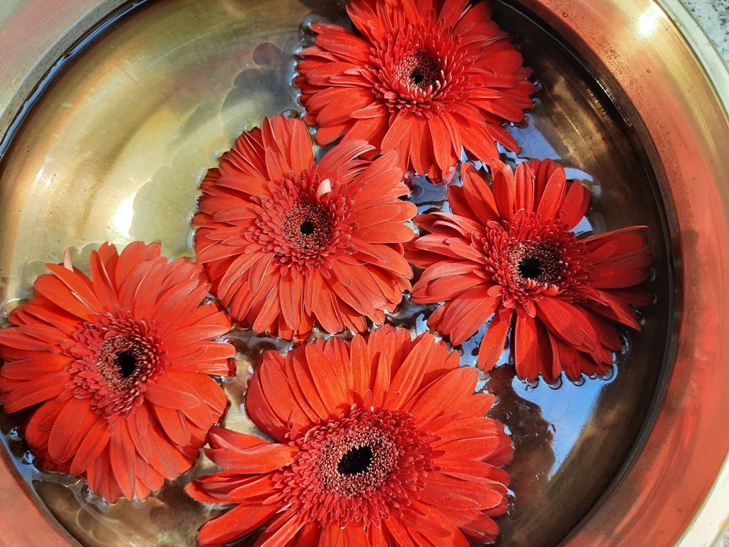 20200208_105848_021420064221.jpg 20200208_105848_021420064221.jpg