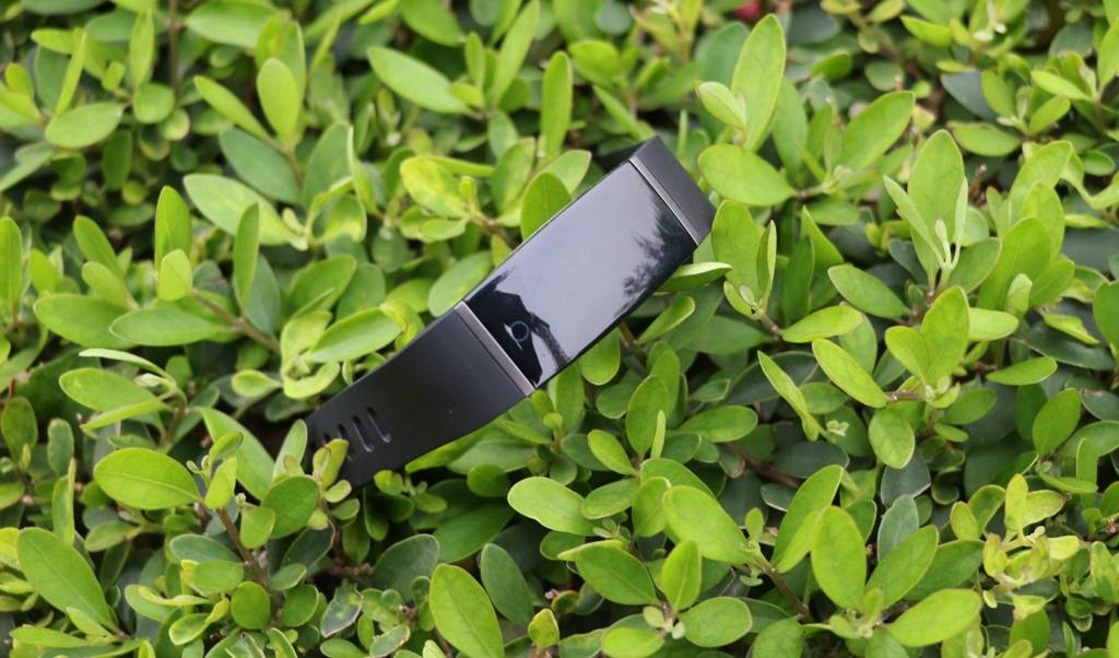 img_3200_031320032751.jpg img_3200_031320032751.jpg