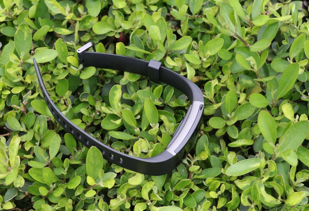 img_3211_031320033039.jpg img_3211_031320033039.jpg