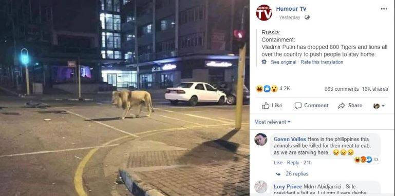 lion-2_032420050437.jpg lion-2_032420050437.jpg