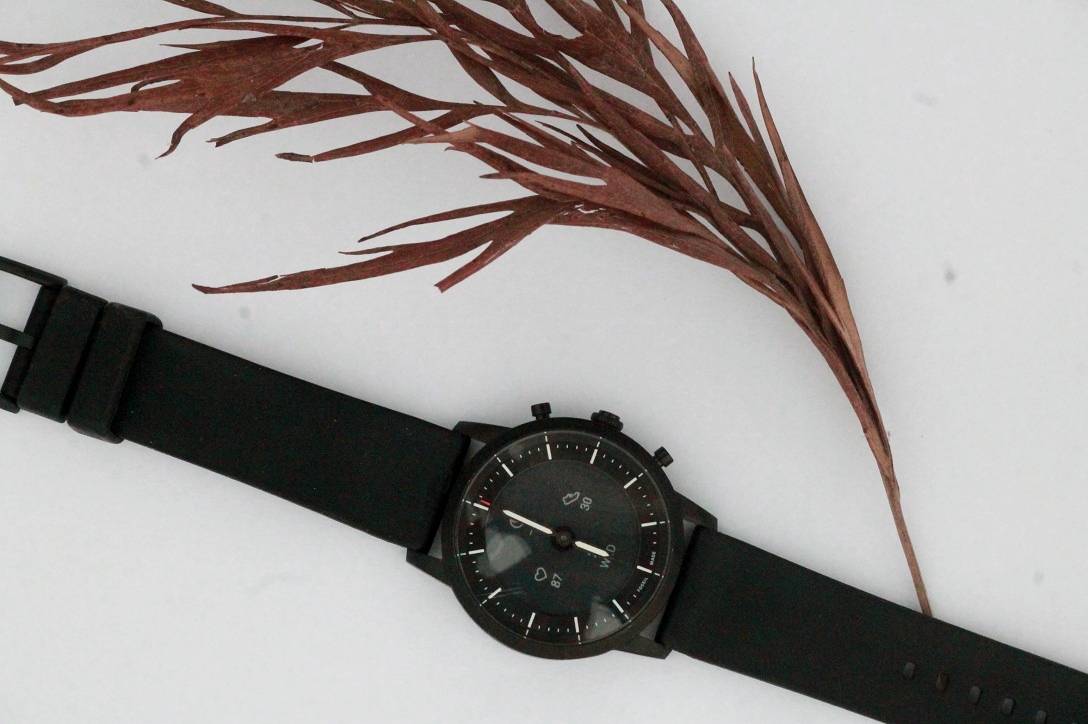 img_9339_073020101538.jpg img_9339_073020101538.jpg