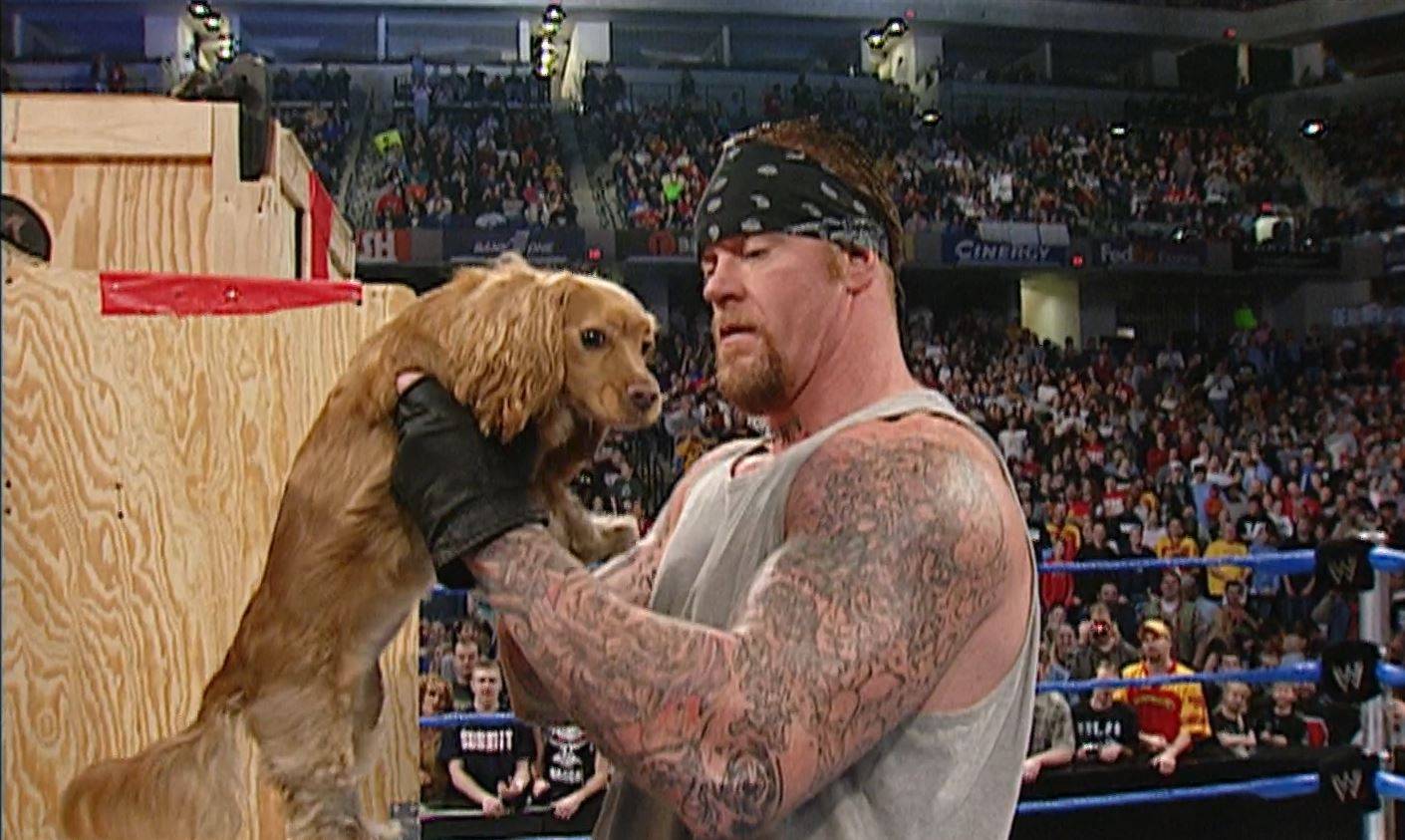 undertaker_080320020652.jpg