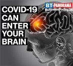 Coronavirus can enter brain through nose, claims study