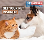 Pet Insurance in India: Some policies in the market today