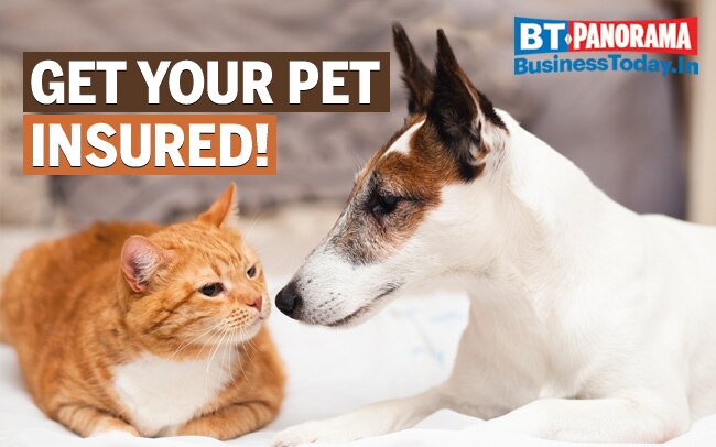 Pet Insurance in India Some policies in the market today