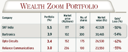 WEALTH ZOOM PORTFOLIO