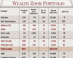 Wealth Zoom Portfolio