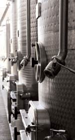 Rows of tanks in the winery