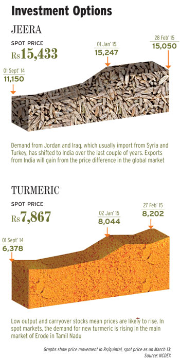 Investment options Investment options