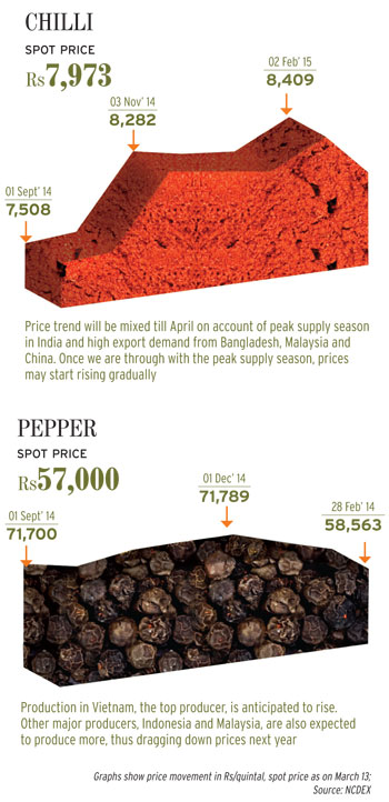 Investment options Investment options