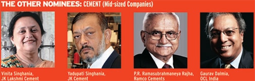 The other nominees: Cement (Mid-sized companies)