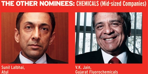 The other nominees: Chemicals (Mid-sized companies)