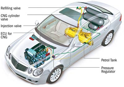 Buying An Eco Friendly Car Check Out Cng Lpg Variants