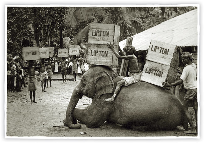 Lipton Tea crates being carted on elephants