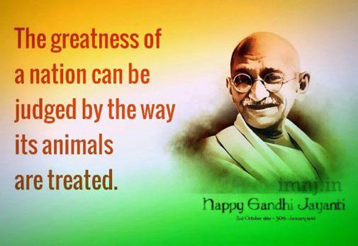 gandhi quotes animals