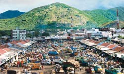 Alive and kicking: The Oddanchatram market is among the largest in south India Alive and kicking: The Oddanchatram market is among the largest in south India