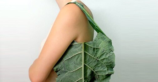 'Don't walk on road where there's cow': This leaf bag is bit too eco-friendly, but worth praising! - Vimarsana News