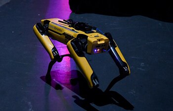 Robot dog for Mars exploration? NASA plans alternative to rovers