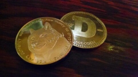 Elon Musk SNL performance saw Dogecoin dip by 23%- Business News - Vimarsana News
